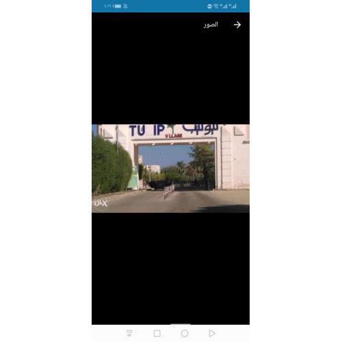 العين السخنة