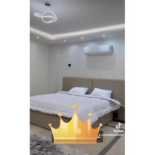 الشيخ زايد