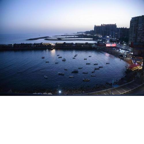 جليم الإسكندرية