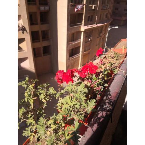 كمبوند سما القاهرة