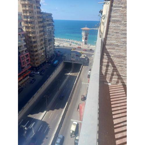 شقة ميامي