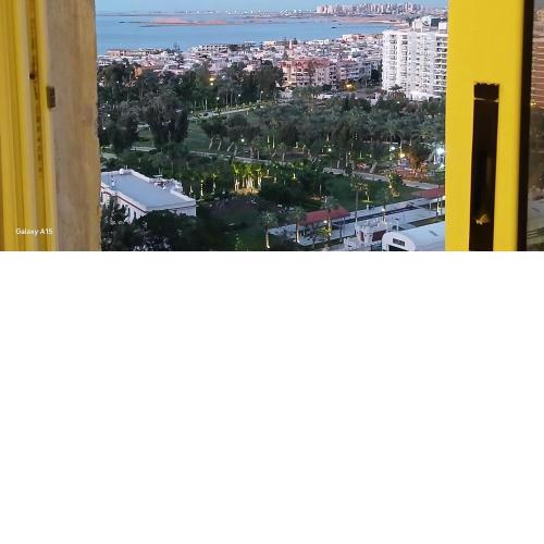 شقه فندقيه أمام قصر المنتزة