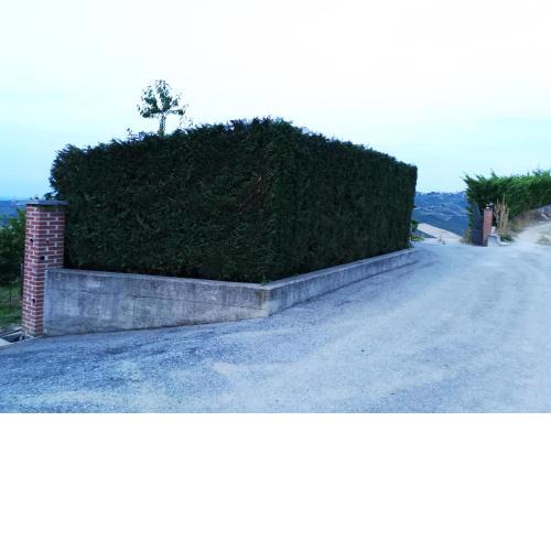 A 2,5 KM DAL CENTRO DI ALBA CON VISTA SULLE LANGHE