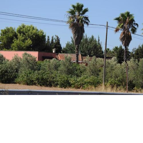 A 6 km da Porto Cesareo, la casa del carrubo