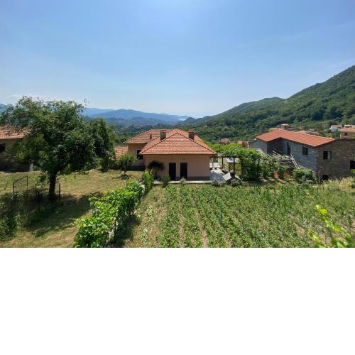 A cà du Baciccia