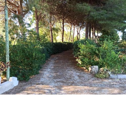 A Casa dei Nonni - 3000mq di relax in giardino a 1500m dal mare