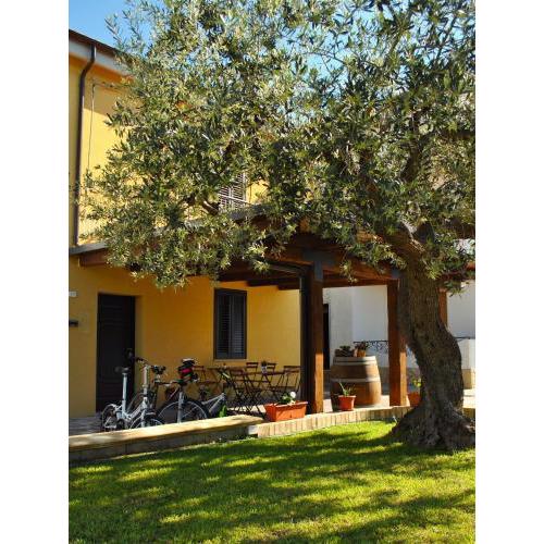 A casa dei nonni B&B