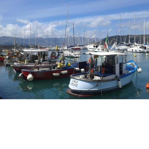 A Casa di Chiara, centro Lerici 50 metri dal mare