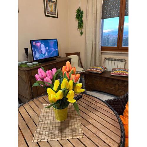 A casa di Frida & Mika