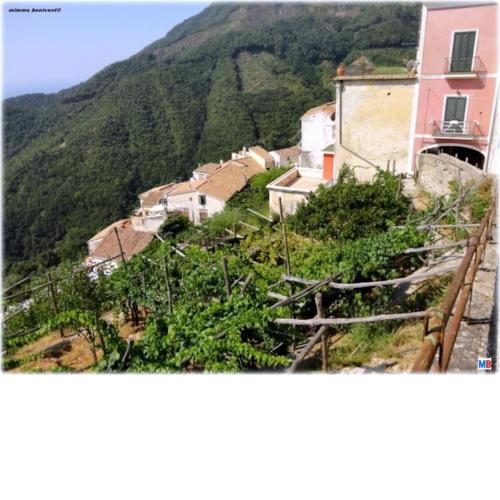 A casa di nonna Elvira