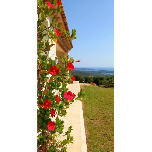 A Casa di Viola o Villa Violetta