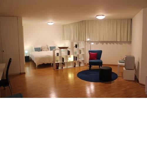 A Casa Fina- a modern room close to Basel