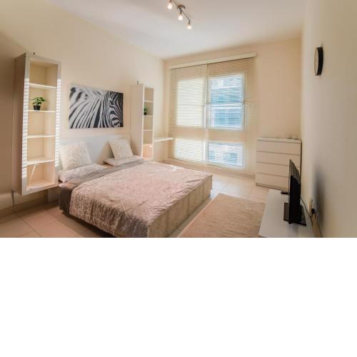 A Cosy one-bedroom apartment.