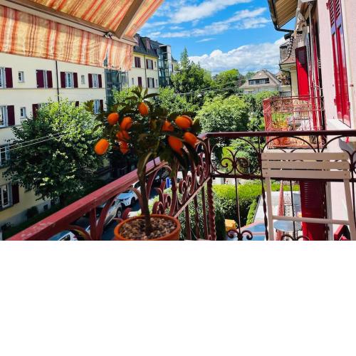 A deux pas du lac Leman ( Ouchy) joli appartement