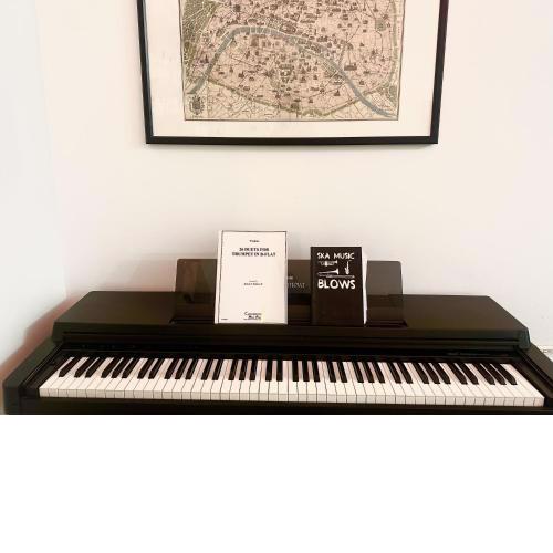 A Musician's dream flat