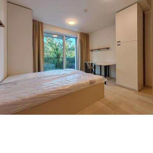 A Star Apartment Brno with Terrace