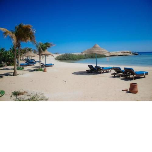 A1 Mangrove Bay
