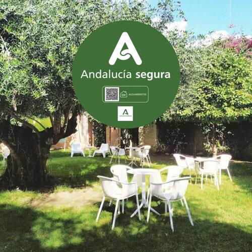 AACR Hotel Monteolivos