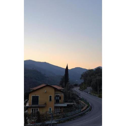AAUT IL NOCE LEIVI codice CITRA 010029-LT-0025