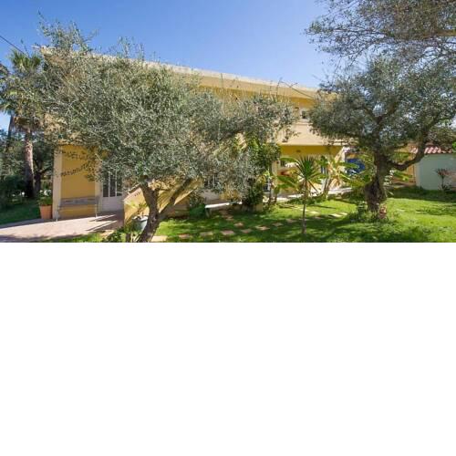 Abelia Studios