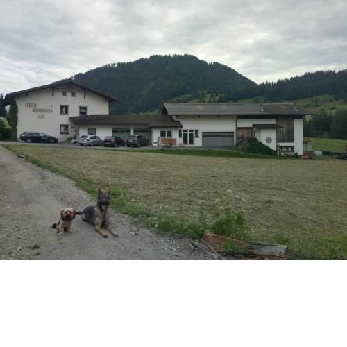 Abenteuerhof