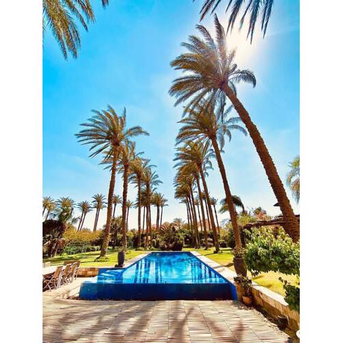 Abu Sir Pyramids and Palm View villa