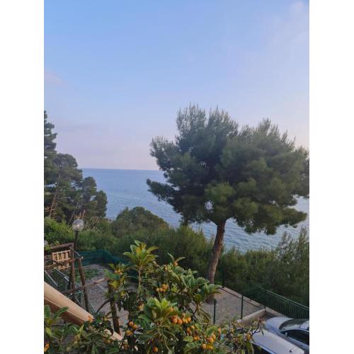 Acciaroli parco baia dei pini lotto a