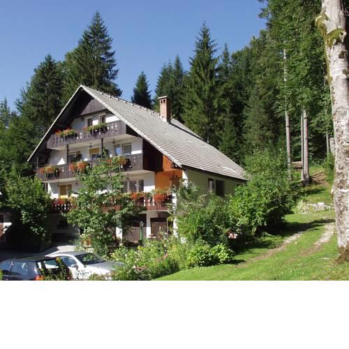 Accommodation Destina, LAKE BOHINJ