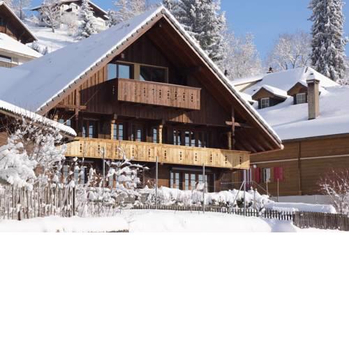 Ackaert Ferienwohnung Top of Thun