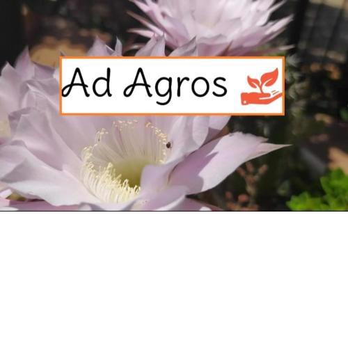 Ad Agros - Affittacamere