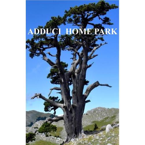 ADDUCI HOME PARK