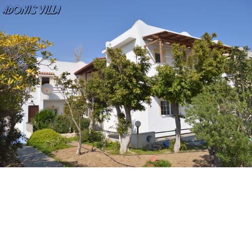 Adonis Villa