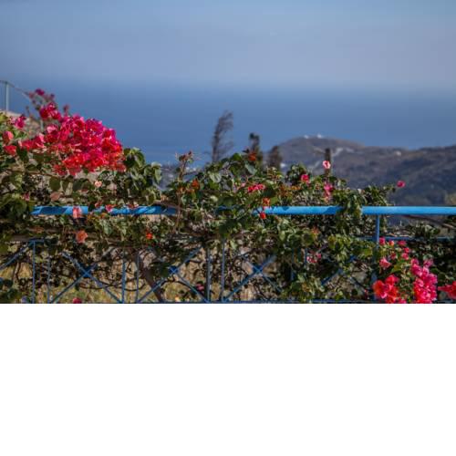 Aegean View Andros