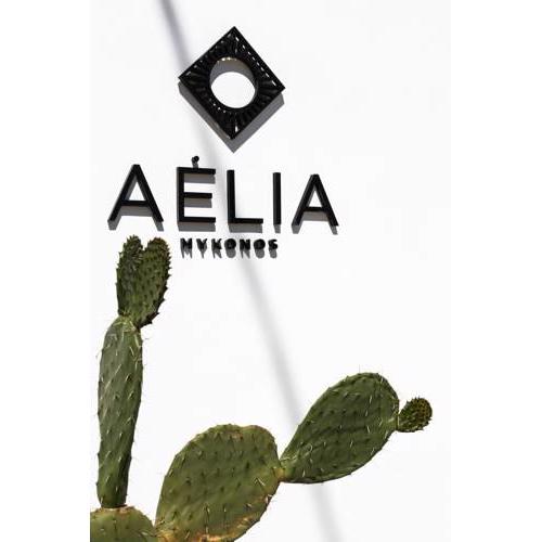 Aelia Mykonos