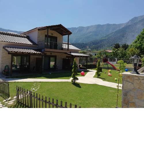 Aelia Studios