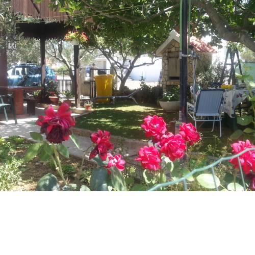 Aenona Sunny Apartment