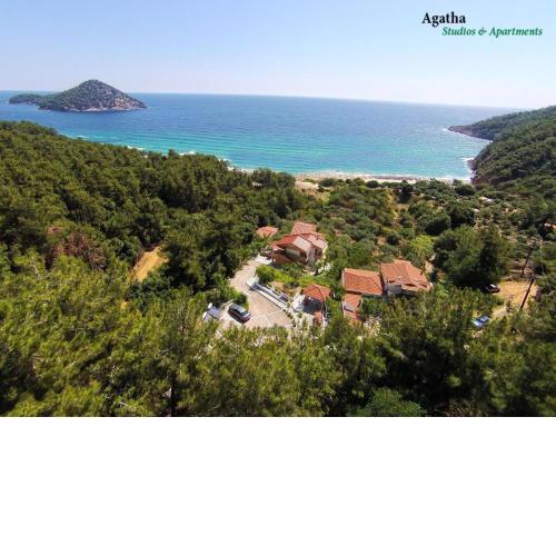 AGATHA STUDIOS PARADISE