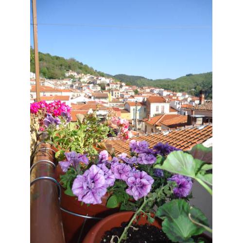 Agiasos Tranditional House