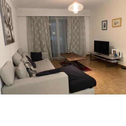 Agréable appartement près du lac
