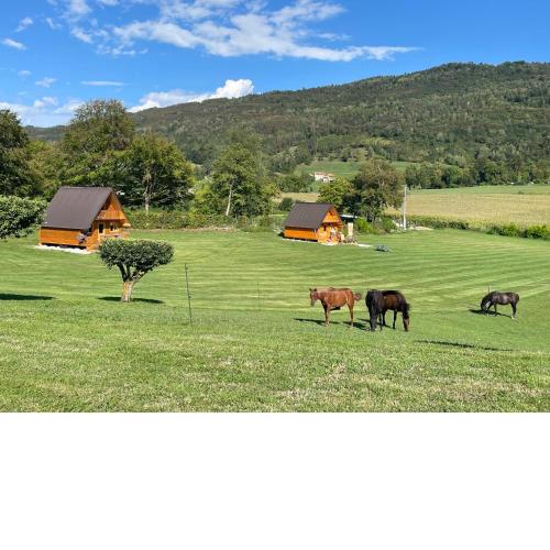 Agri Camp Dolomiti