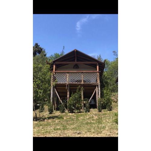 AgriGlamping La Diaccia