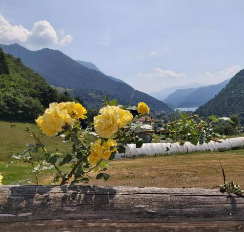 Agritur LA DASA