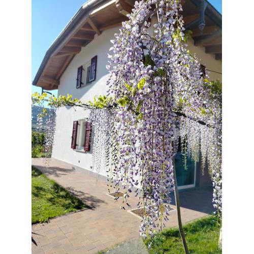 Agritur Lavanda