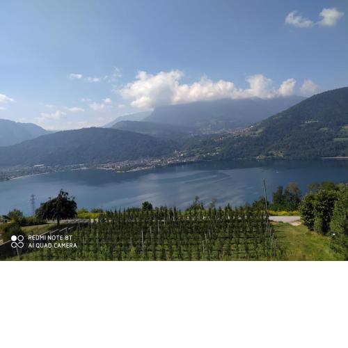 AGRITUR SEDICI