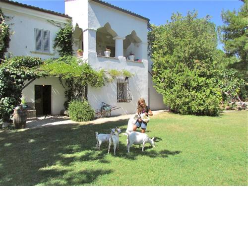 Agriturismo "Borgo Madonna degli Angeli" - charming cottages in the gardens !