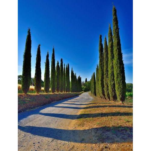 Agriturismo Boschetto di Montiano