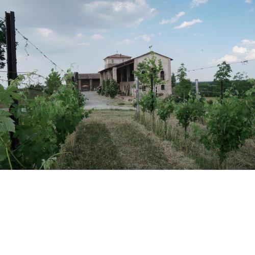 Agriturismo Ca' Preda