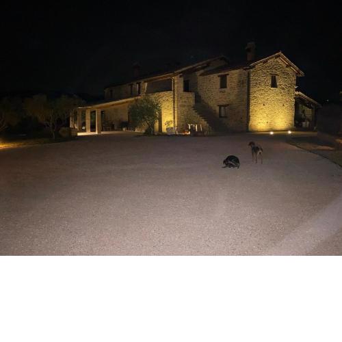 Agriturismo Caiferri