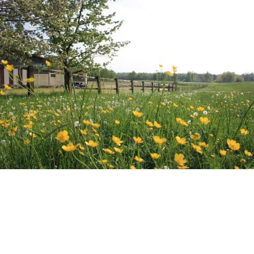 Agriturismo Cargandino