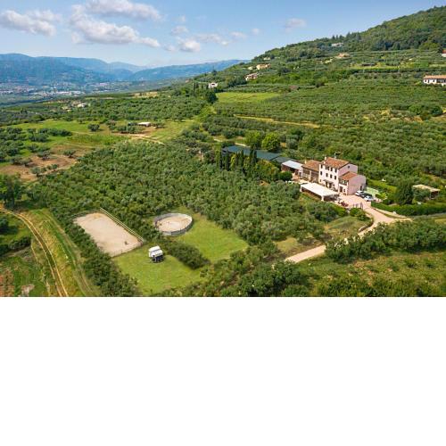 Agriturismo Casa Rosa